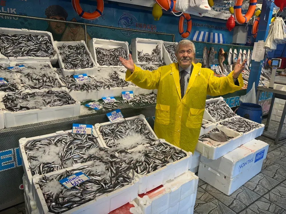 Tezgahta Hamsi Bolluğu: Kilosu 60, 4 Kilosu 200 Lira